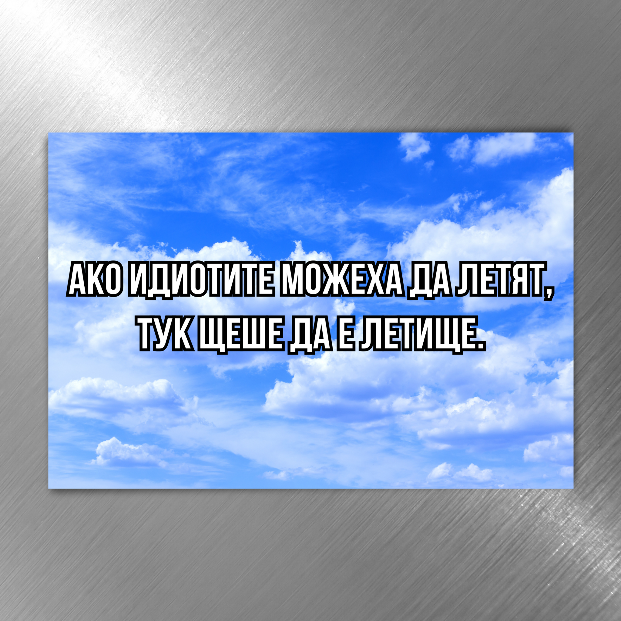 Ако идиотите можеха да летят, тук шеше да е летище - Забавен магнит